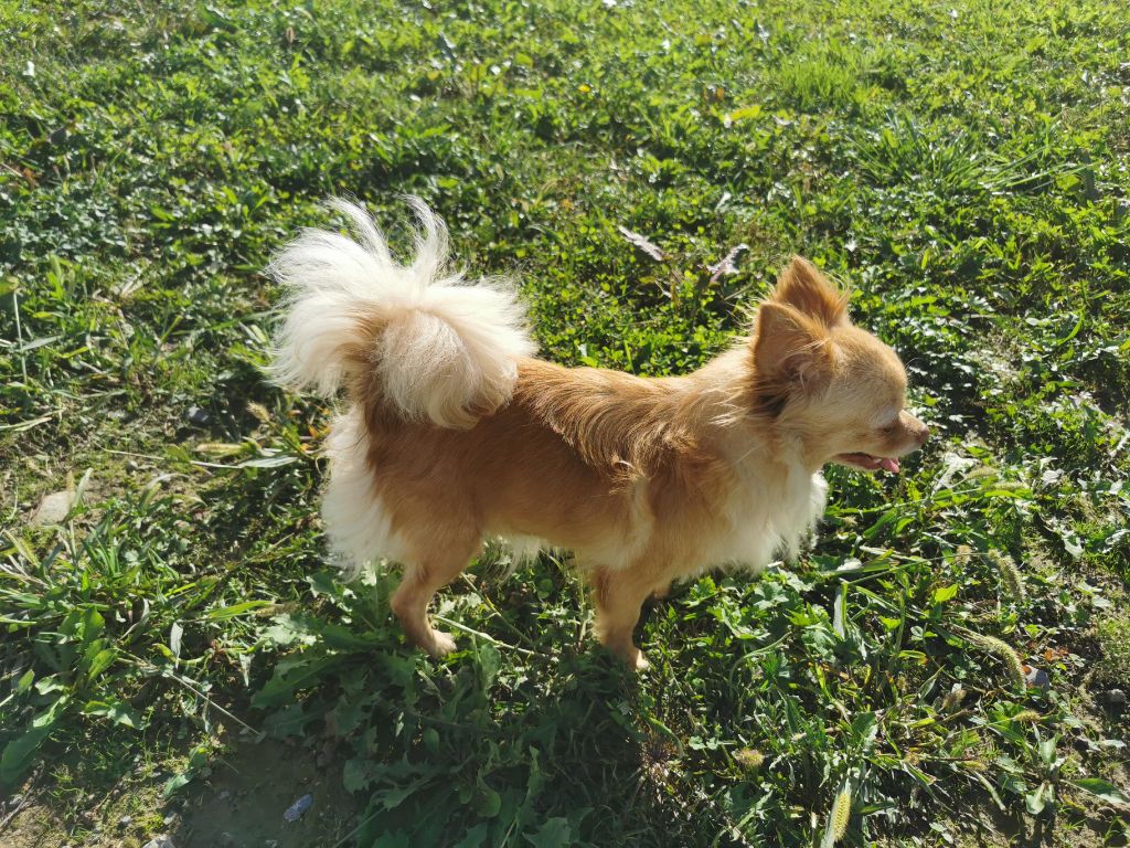 Nina Des Minibouilles